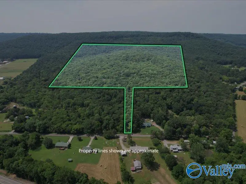 92 Acres All Jersey Road, Somerville, AL 35670 - #2