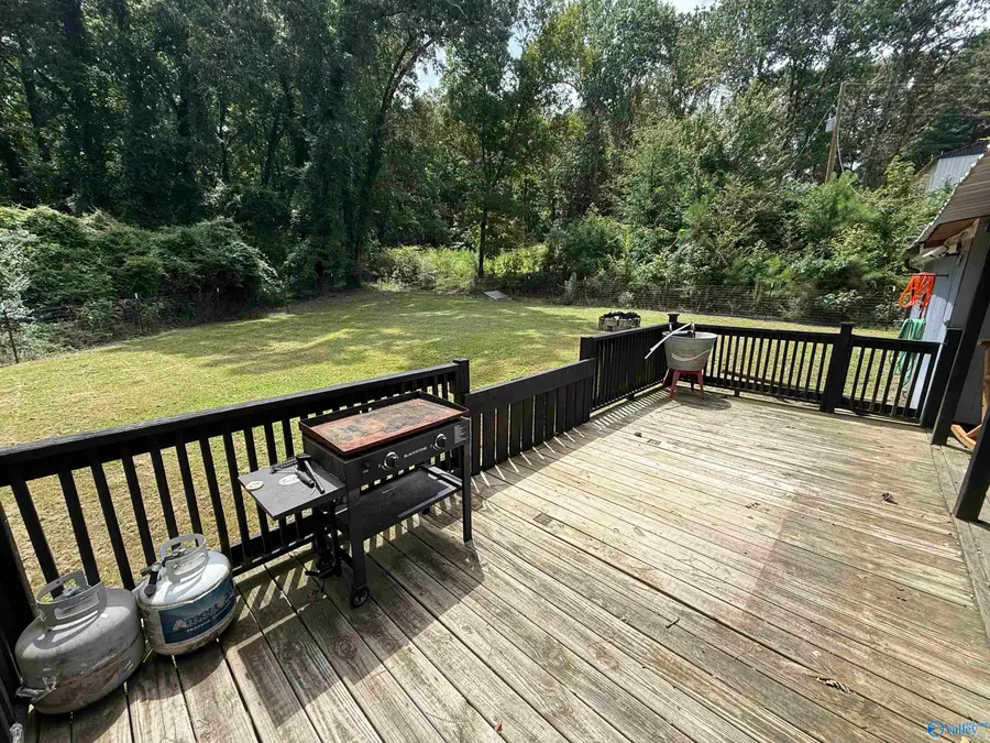 311 Stinson Street, Centre, AL 35960 - #3