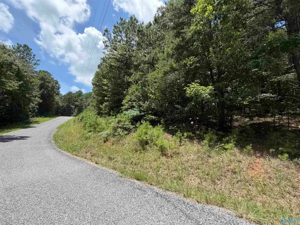 LOT 4 County Road 592, Leesburg, AL 35983