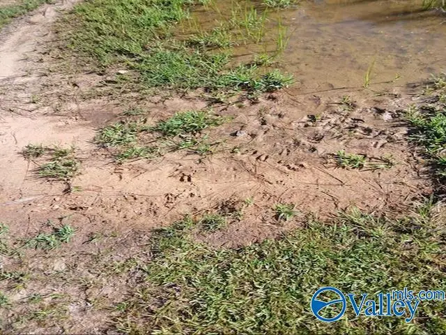 11212 Highway 19, Vina, AL 35593 - #2