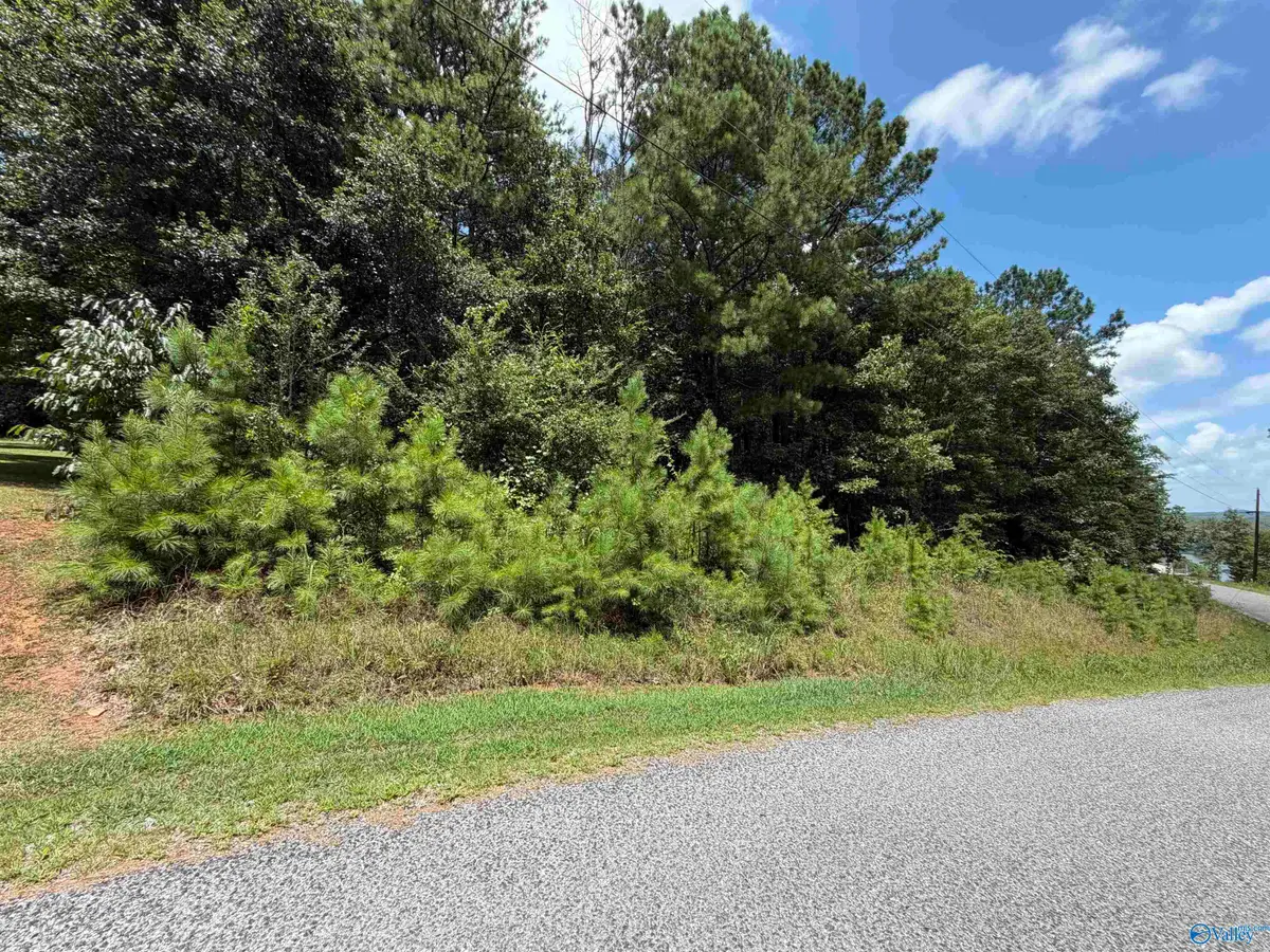 LOT 5 County Road 592, Leesburg, AL 35983 - #1