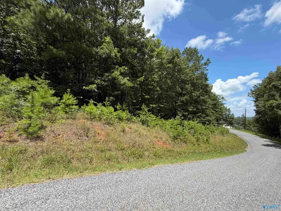 LOT 5 County Road 592, Leesburg, AL 35983 - #2