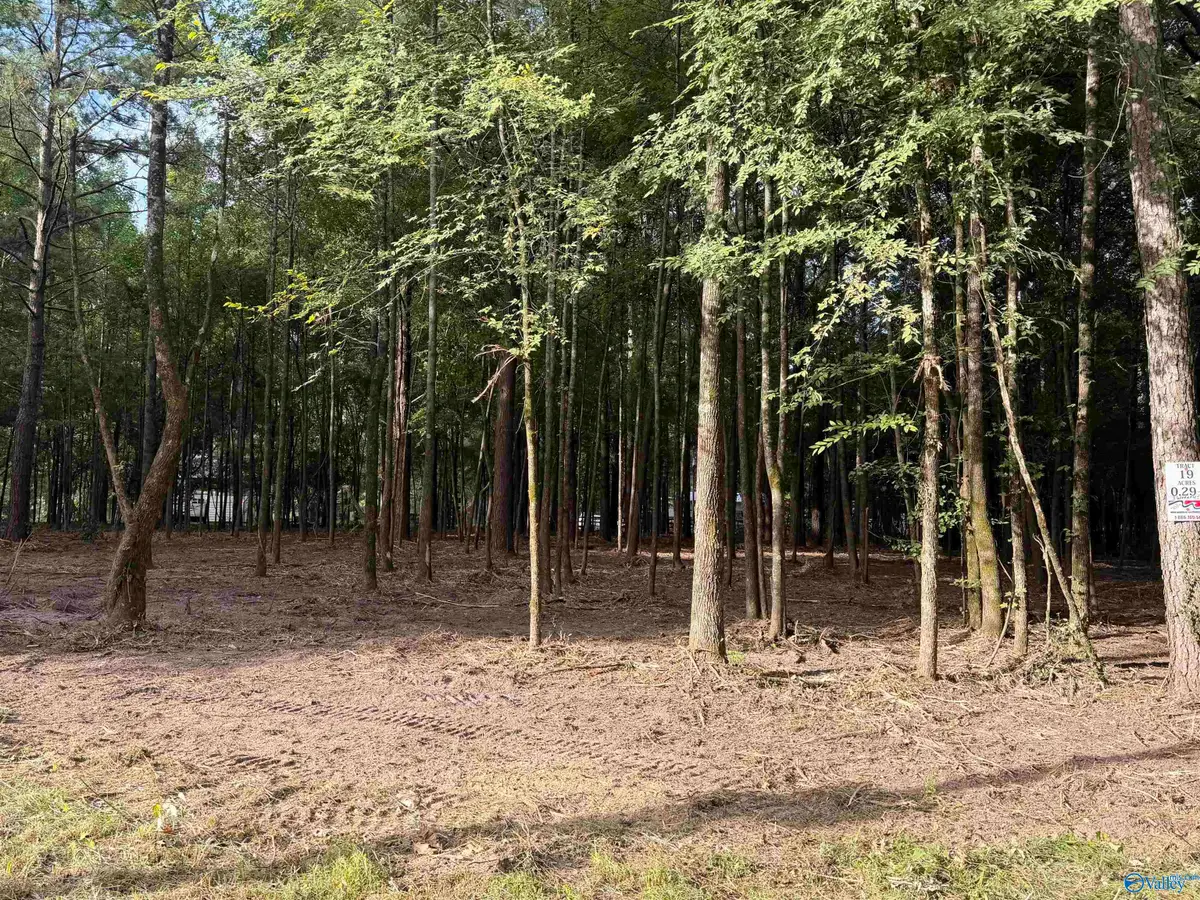 Lot 19 County Road 1011, Centre, AL 35960 - #1