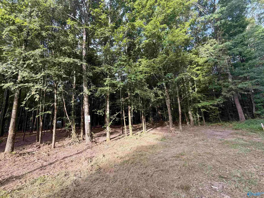 Lot 19 County Road 1011, Centre, AL 35960 - #2
