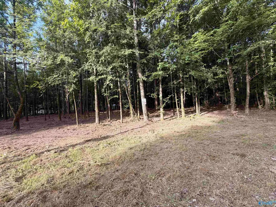 Lot 19 County Road 1011, Centre, AL 35960 - #3