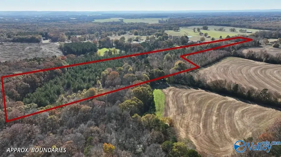 2670 County Road 165, Moulton, AL 35650 - #2