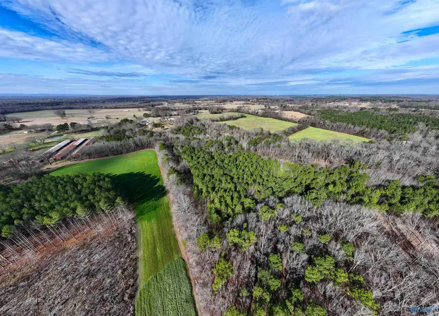 2670 County Road 165, Moulton, AL 35650 - #3