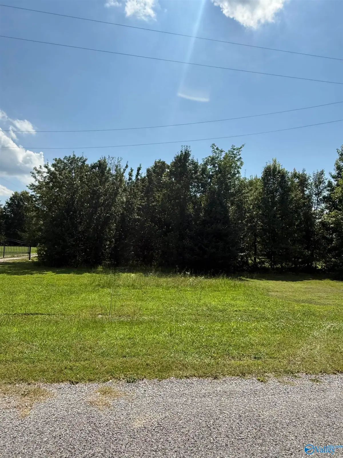 Lot 19 County Road 569, Cedar Bluff, AL 35959 - #1