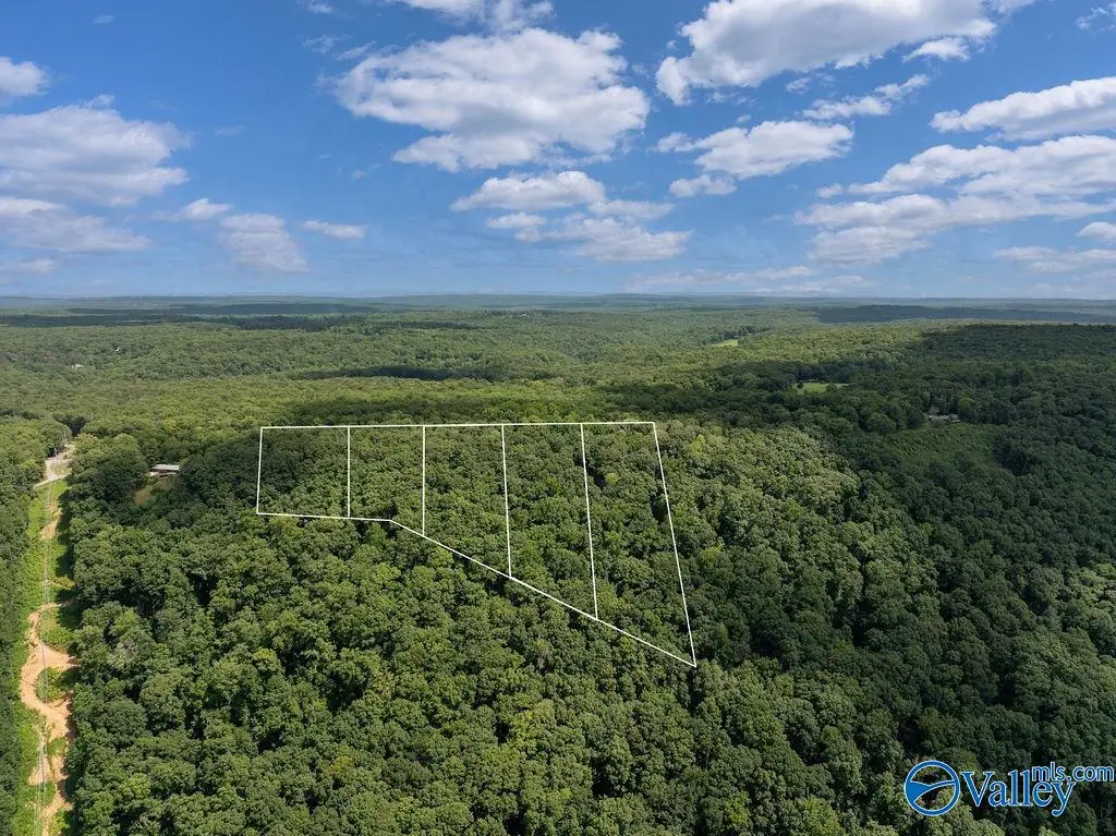 LOT 3 County Road 89, Mentone, AL 35984 - #1