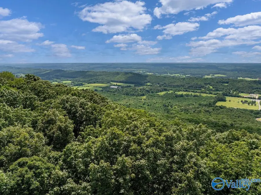 LOT 3 County Road 89, Mentone, AL 35984 - #2