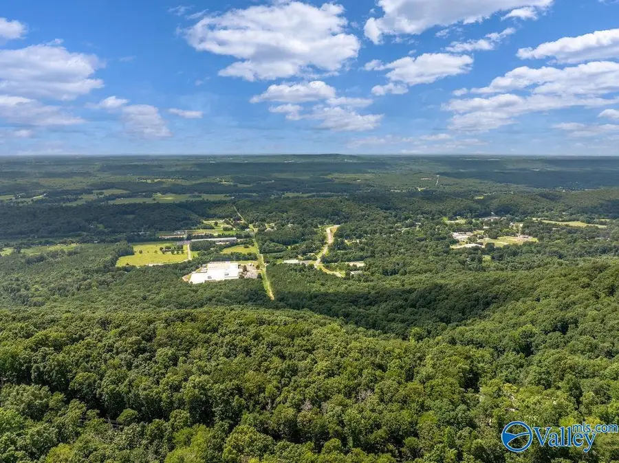 LOT 5 County Road 89, Mentone, AL 35984 - #3