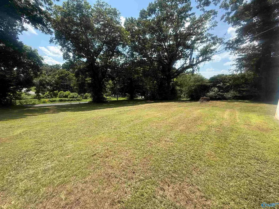 314 Veterans Way, Guntersville, AL 35976 - #3