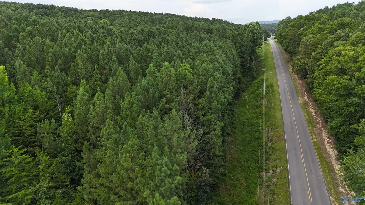06 County Road 41, Gaylesville, AL 35973 - #1