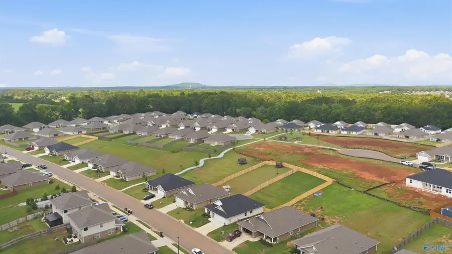 29023 Nature Trail Drive, Harvest, AL 35749 - #2