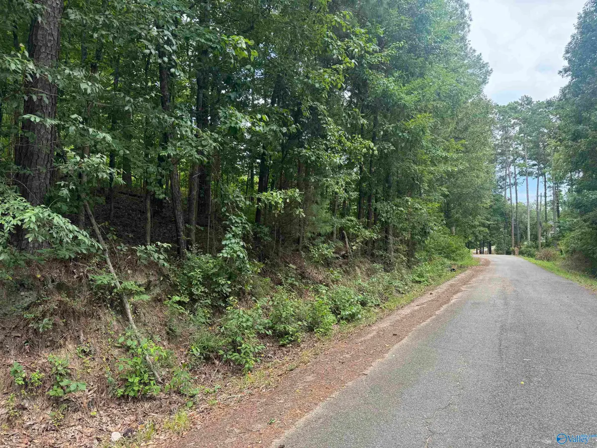 Lot 15 Davis Drive, Lookout Mountain, AL 35904 - #1