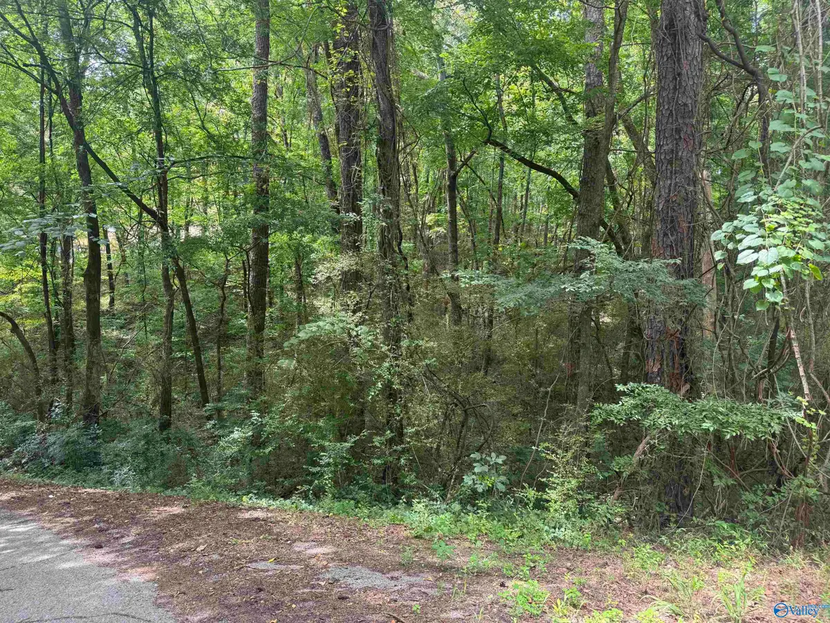 Lot 11 Davis Drive, Lookout Mountain, AL 35904 - #1