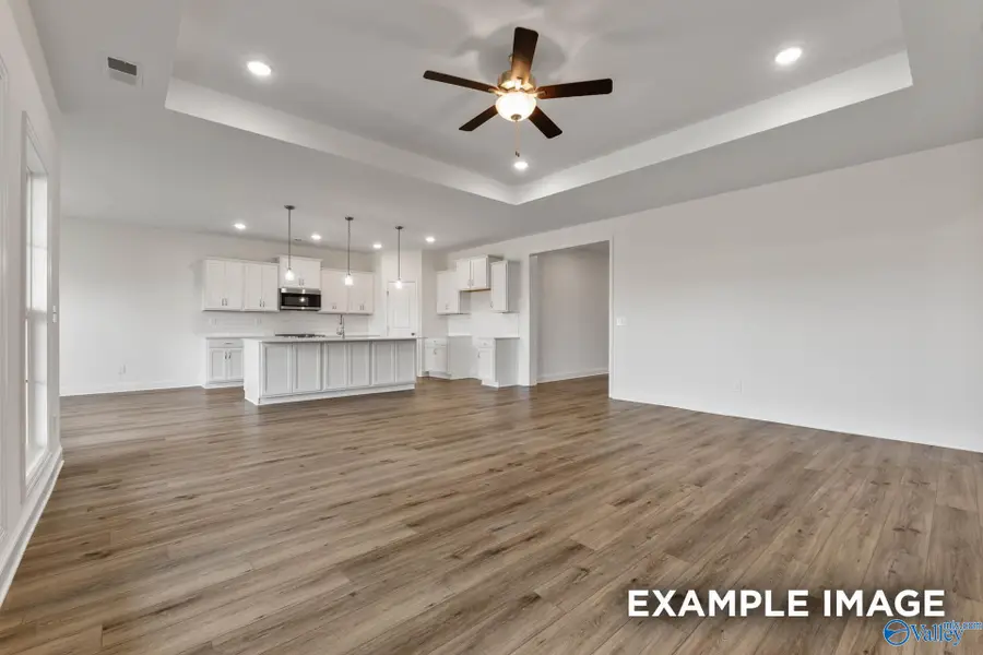 208 Slade Thomas Drive, Meridianville, AL 35759 - #2