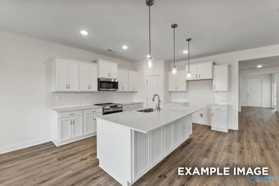 208 Slade Thomas Drive, Meridianville, AL 35759 - #3