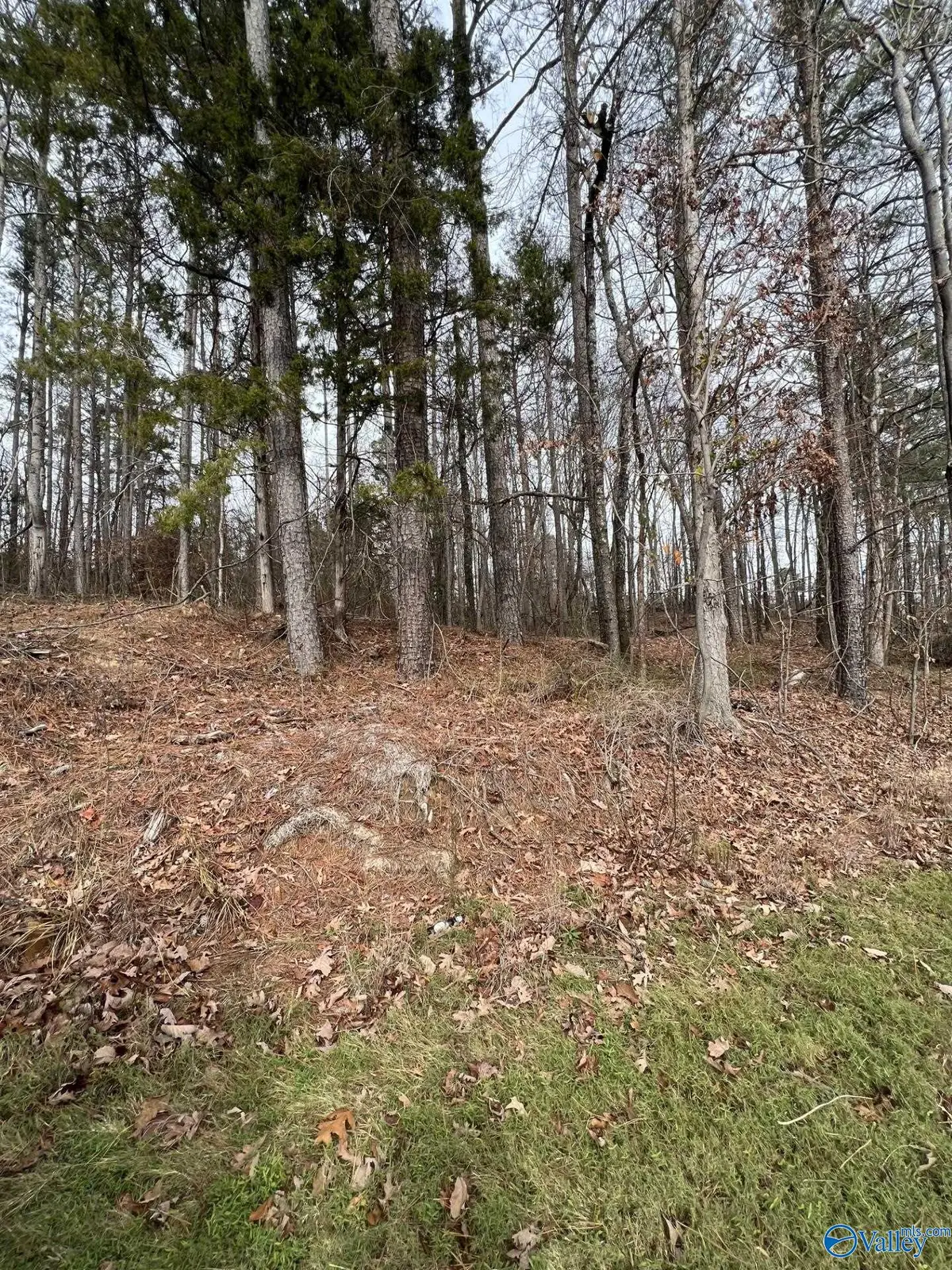 5627 Alabama Highway 227, Guntersville, AL 35976 - #1