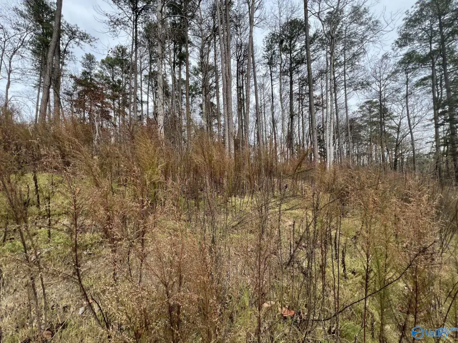 5627 Alabama Highway 227, Guntersville, AL 35976 - #2