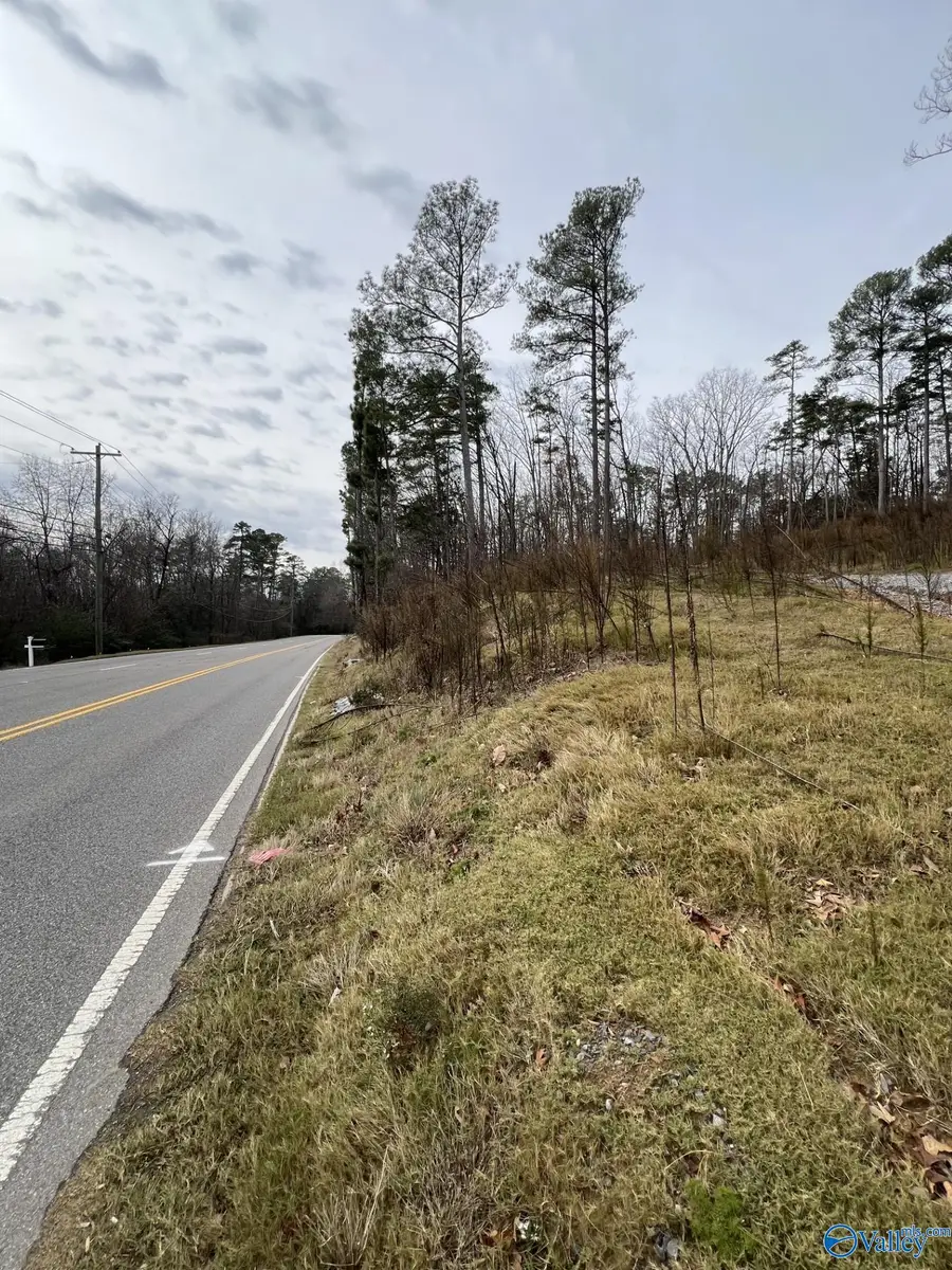5627 Alabama Highway 227, Guntersville, AL 35976 - #3