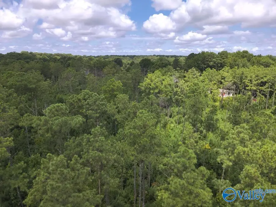 Lot C Taylor Circle, Somerville, AL 35670 - #2