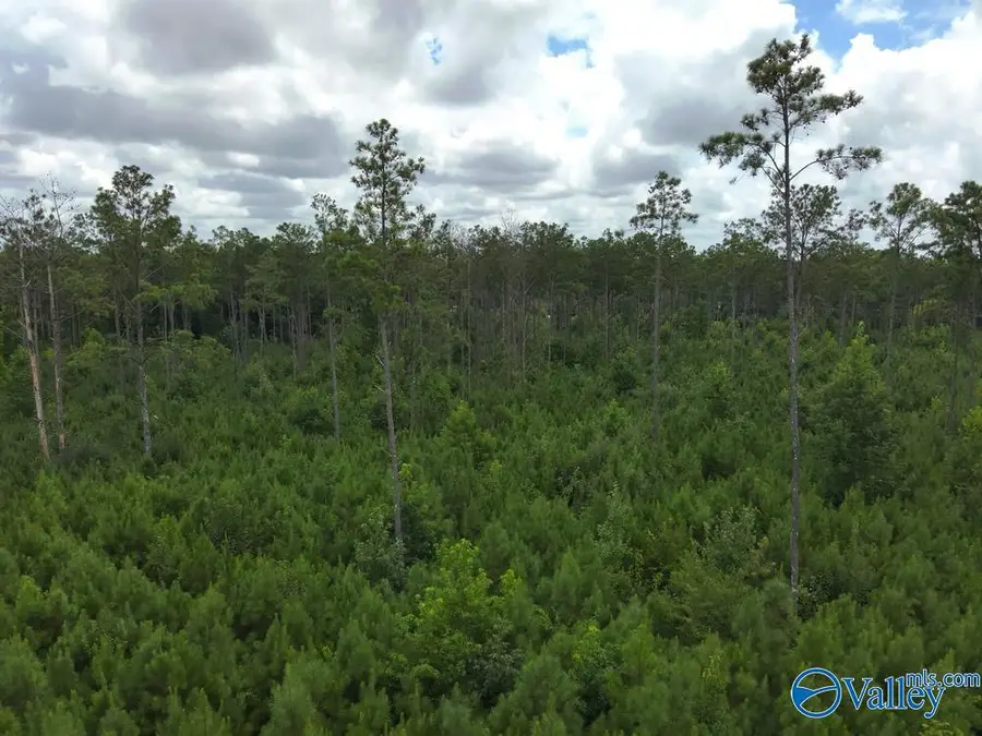 Lot C Taylor Circle, Somerville, AL 35670 - #3