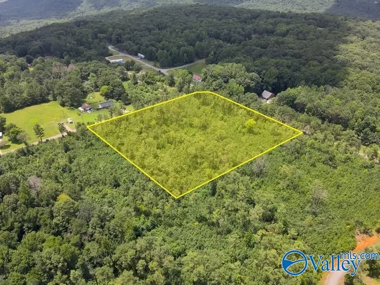 Lot D Taylor Circle, Somerville, AL 35670 - #1