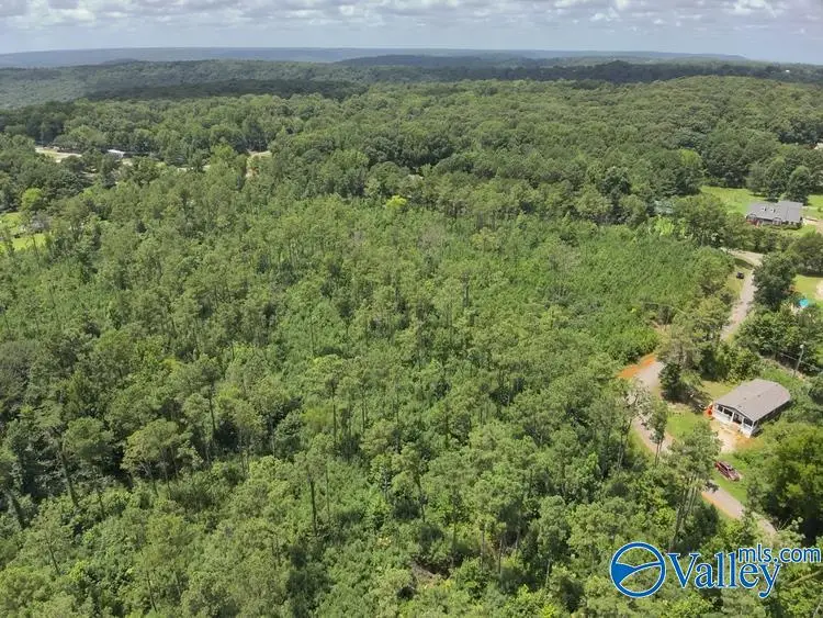 Lot D Taylor Circle, Somerville, AL 35670 - #3
