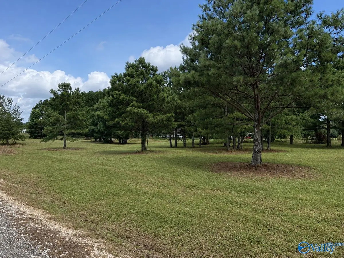 Lot 2 Rachel Lane, Centre, AL 35960 - #1