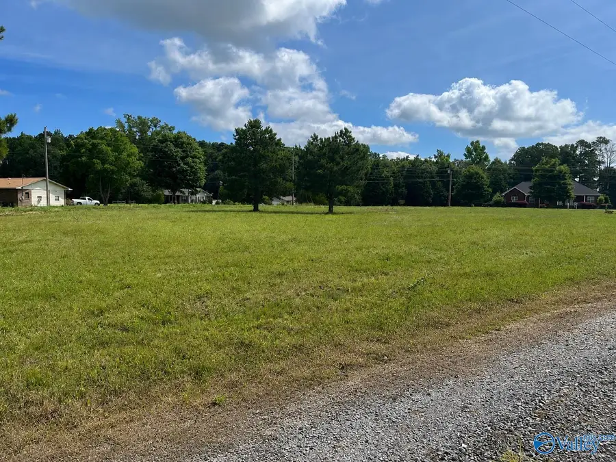 Lot 2 Rachel Lane, Centre, AL 35960 - #2