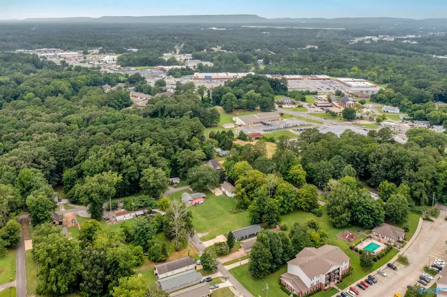 309 Meadows Drive, Rainbow City, AL 35906 - #3