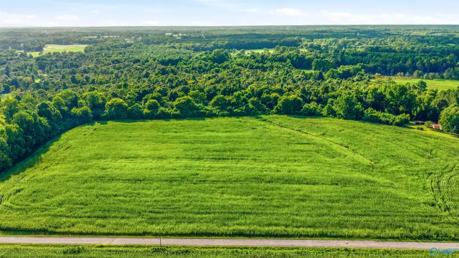 5.1 ACRES County Road 296, Collinsville, AL 35961 - #2