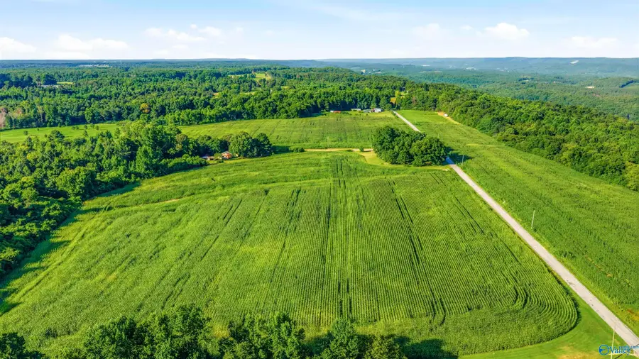 5.1 ACRES County Road 296, Collinsville, AL 35961 - #3