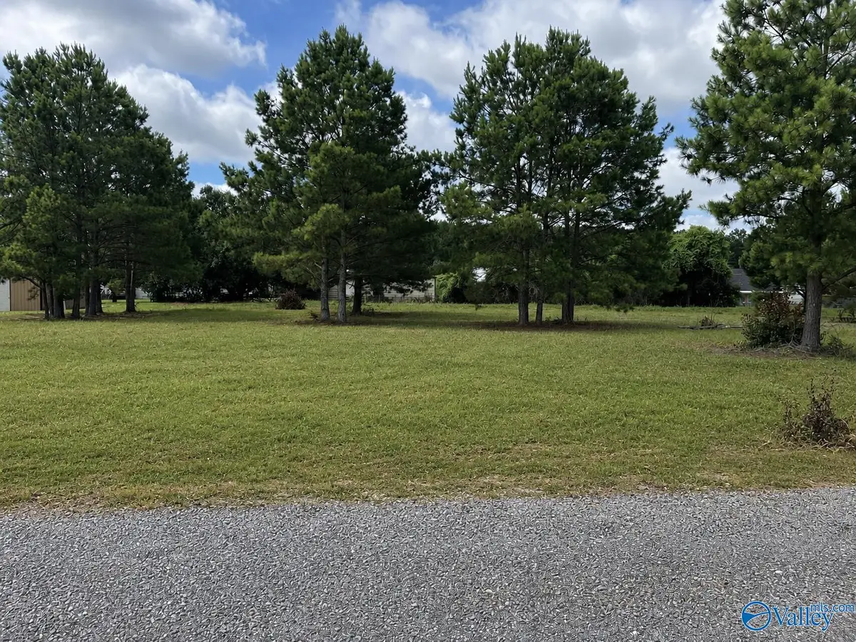 Lot 8 Rachel Lane, Centre, AL 35960 - #1