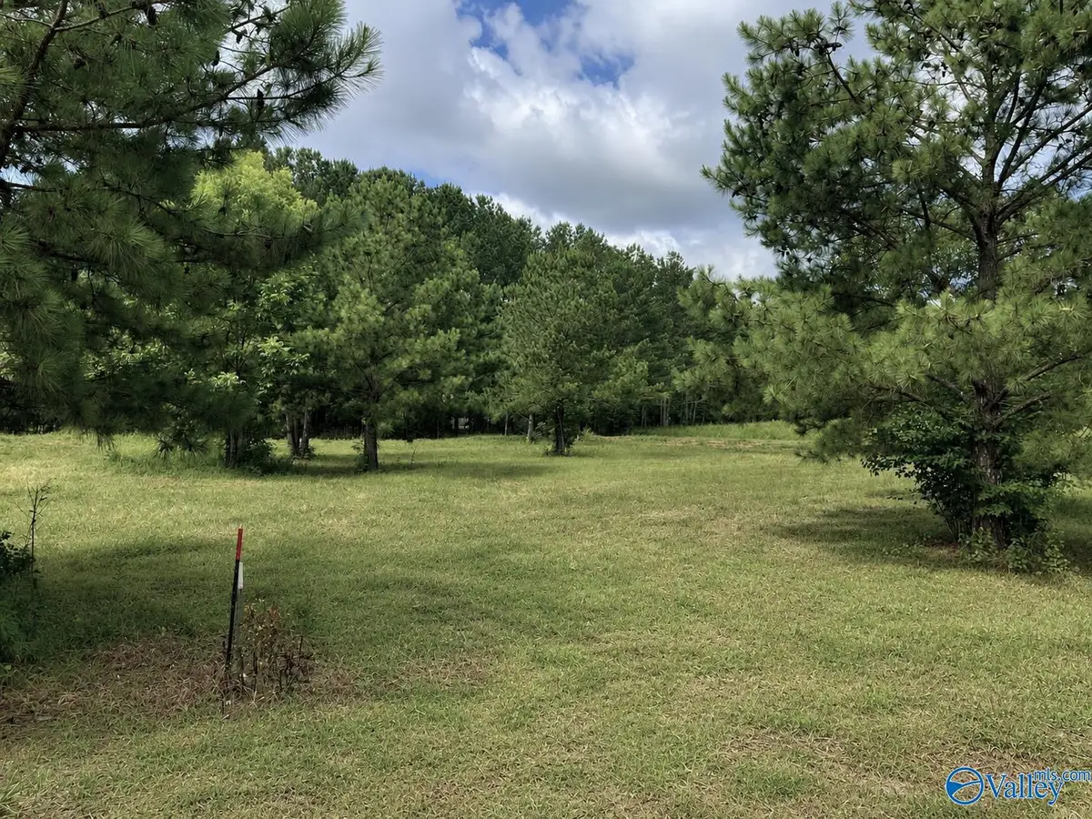Lot 5 Rachel Lane, Centre, AL 35960 - #1