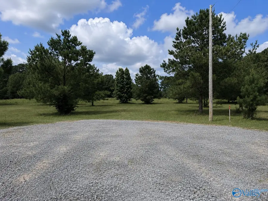 Lot 5 Rachel Lane, Centre, AL 35960 - #2