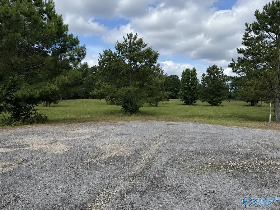 Lot 5 Rachel Lane, Centre, AL 35960 - #3