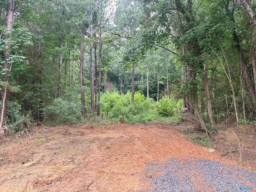 16679 Al Highway 35, Scottsboro, AL 35768 - #3