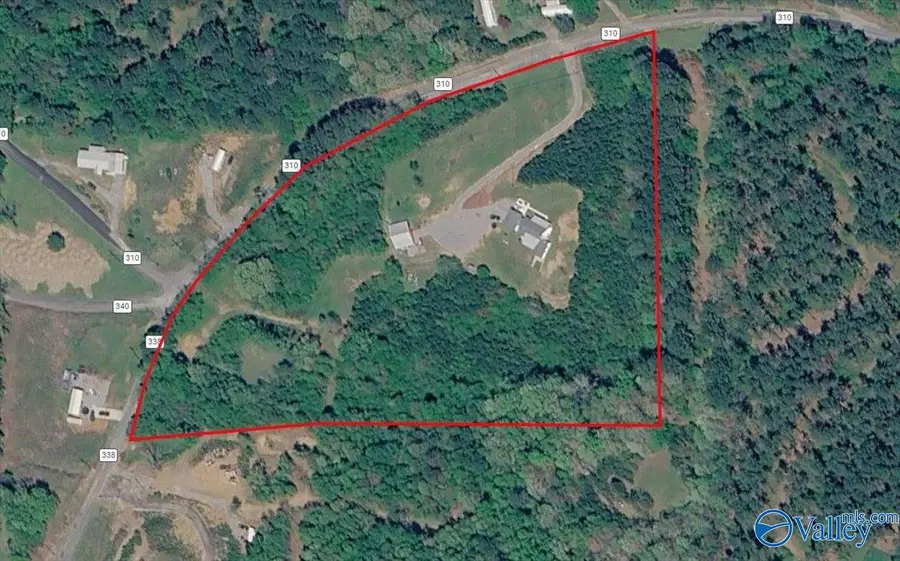 4400 County Road 310, Crane Hill, AL 35053 - #3