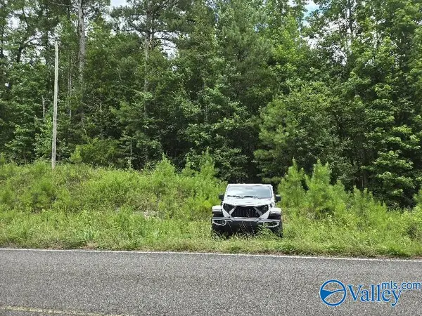 36 Acres Clairmont Springs Road, Lineville, AL 36266