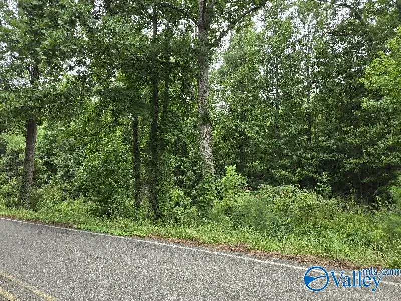 36 Acres Clairmont Springs Road, Lineville, AL 36266 - #2