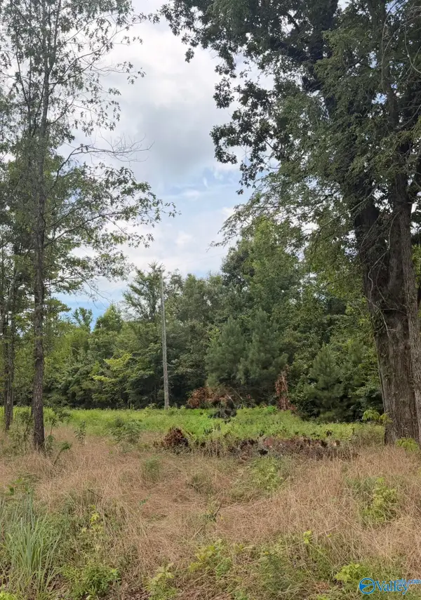 Lot 59 County Road 32, Piedmont, AL 36272