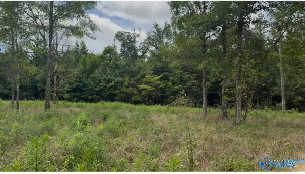 Lot 60 County Road 32, Piedmont, AL 36272