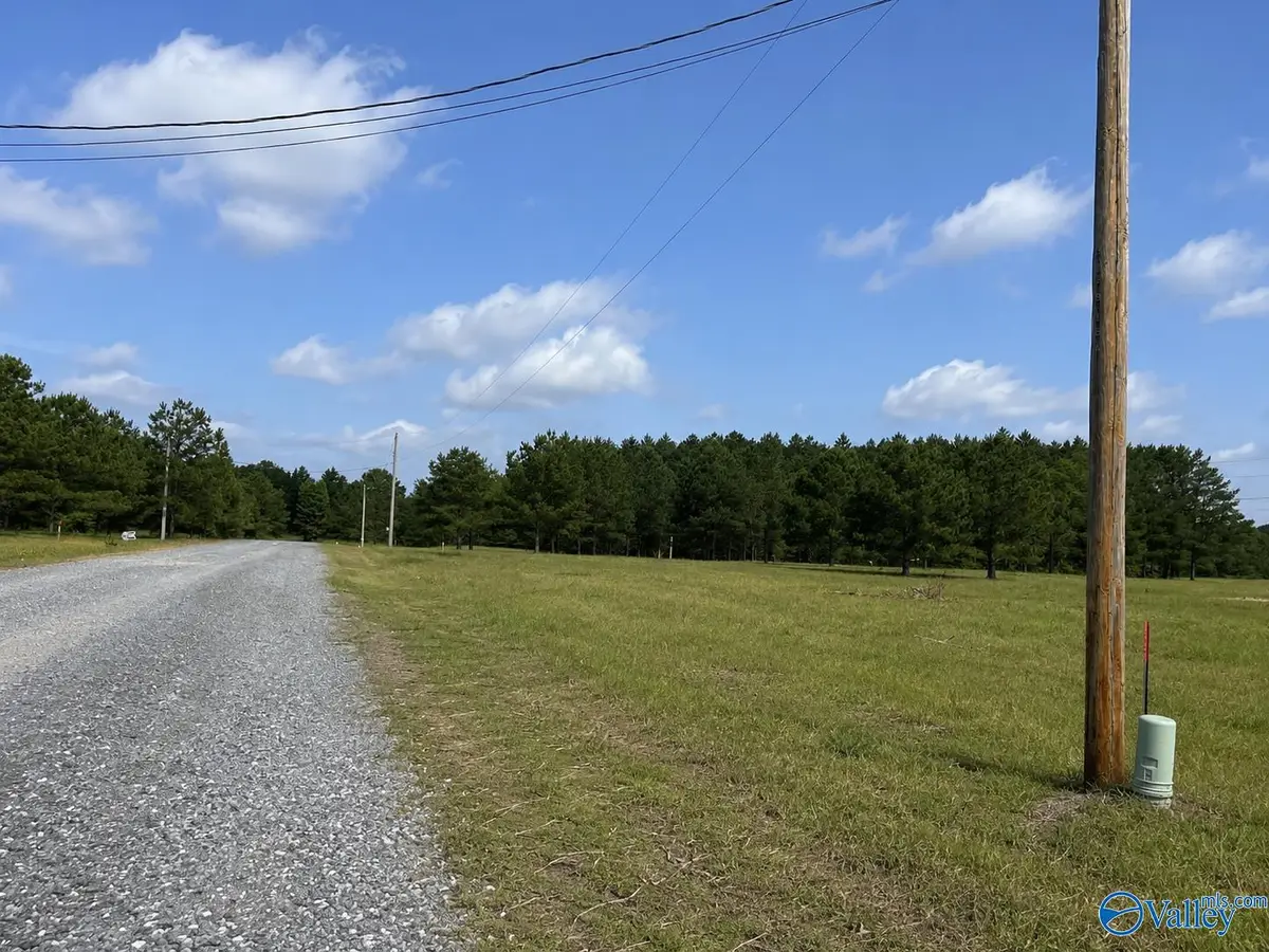 Lot 1 Rachel Lane, Centre, AL 35960 - #1