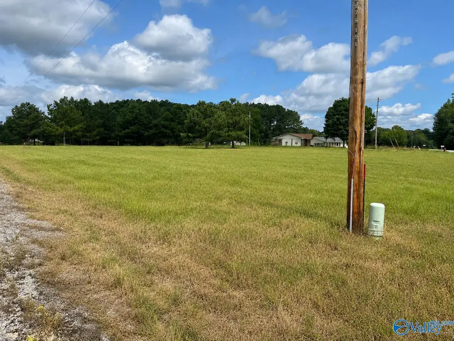 Lot 1 Rachel Lane, Centre, AL 35960 - #2