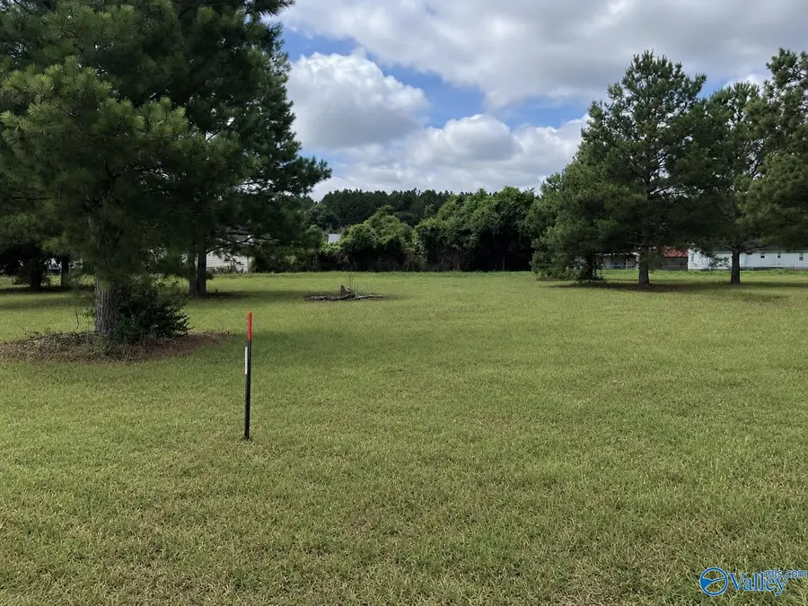 Lot 1 Rachel Lane, Centre, AL 35960 - #3