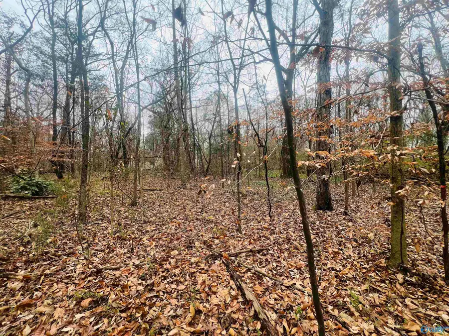 1 ACRE Whitman Circle Ne, Huntsville, AL 35811 - #2