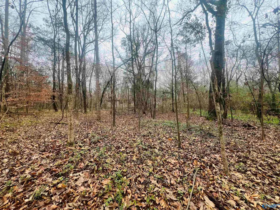 1 ACRE Whitman Circle Ne, Huntsville, AL 35811 - #3