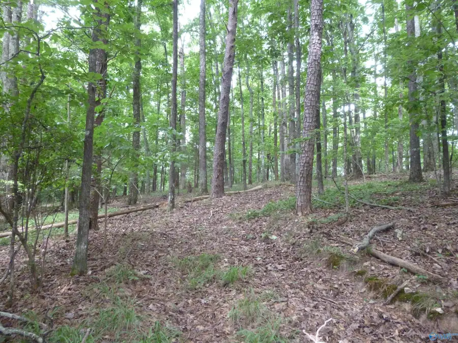500 20th Street Sw, Fort Payne, AL 35967 - #2